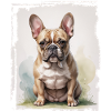 Portrait Bouledogue Français
