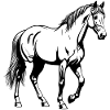 Cheval