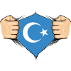Uyghur Flag Design
