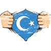 Uyghur flag design used