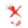 Love Never Story