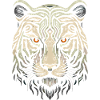 White Tiger Head