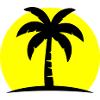 Palm Tree Beach Sun