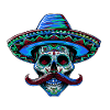 Mexican Skull Sombrero