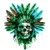 Indian Skull Chief