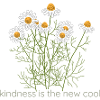 kindness is the new cool