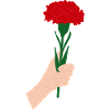 Pour vous- Fleur d’œillet rouge1