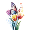 Schmetterling Stulpe