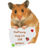 Hamster Zettel Hoffnung Hoffnungsträger