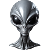 Véritable extraterrestre gris extraterrestre
