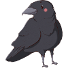 Raven