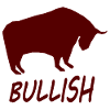 The Bull Investor