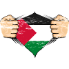 Palestine Flag Design used