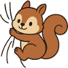 Dear little squirrel