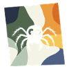 Tarantula Tarantula Insect