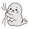 Dear little seal