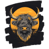 Scottish Highland cattle