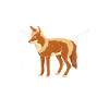 Chasseur de coyotes