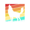 Jagd Jäger Kojote