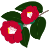 zwei rote Kamelienblüten