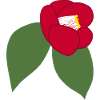 Elegant Red Camellia Blossom Illustration1