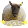 Sheep Good Night Sleep Chemise