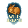 Wild Dreams – Sleeping Fawn