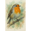 robin