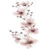 Rosa blume Kirschblüte sakura sticker