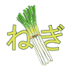 Japanese onions NEGI