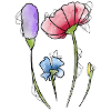 Blumen