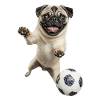 Mops