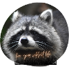 Raccoon Love