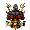 Damsosport