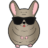 Chinchilla