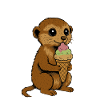 IceCream Buddy – ILLUSTRATION
