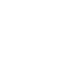 Édition limitée Est. 1996