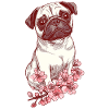 Pug with flowers