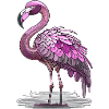 Flamingo
