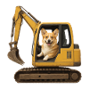 Corgi