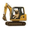 Mops