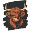 Scottish Highland cattle