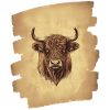 Scottish Highland cattle