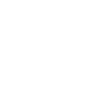 Édition limitée Est. 1999
