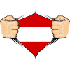 Austria Flag Design