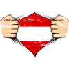 Austria flag design used