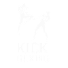 Kickboxing Fighters