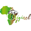 ORIGINEL EDITION AFRIQUE