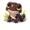 Salamanders Salamander