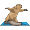 Beaver Yoga Yoga Mat